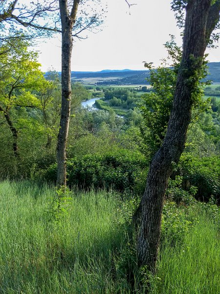 258 foto MVervoorn 2019-06-22 20.13.35.jpg
